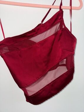 Sheer Panel Burgundy asymmetrical crop top